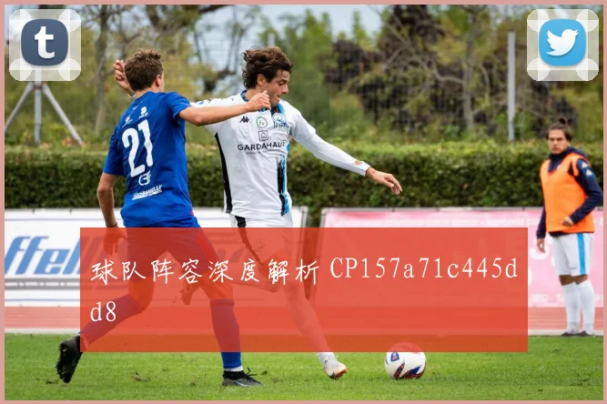 球队阵容深度解析 CP157a71c445dd8