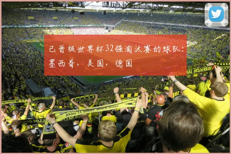 已晋级世界杯32强淘汰赛的球队：墨西哥，美国，德国