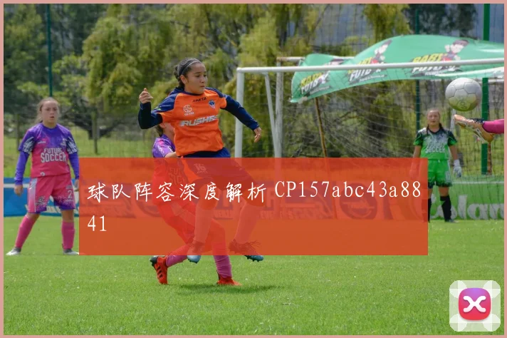球队阵容深度解析 CP157abc43a8841