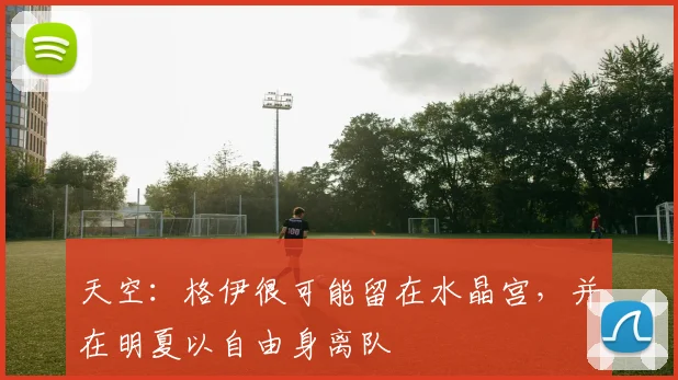 天空：格伊很可能留在水晶宫，并在明夏以自由身离队