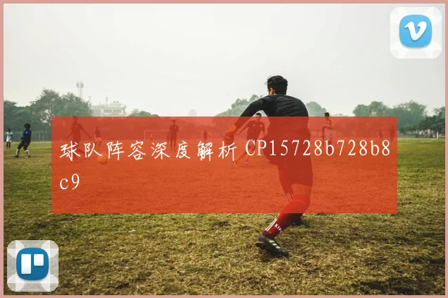 球队阵容深度解析 CP15728b728b8c9